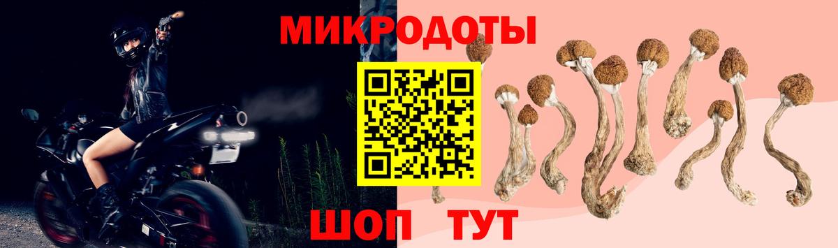 Галлюциногенные грибы Psilocybe  Вход с VPN  Галлюциногенные грибы Psilocybe  Екатеринбург 